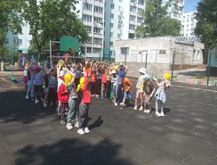 img (5)